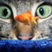 profile image of Ernie
