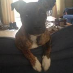 Roxy Deavall-Berrey
