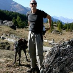 profile image of Simon Collis