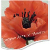 Poppy Flowers