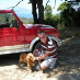 profile image of Stephen Shelford