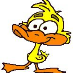 profile image of Rebecca Duckworth