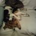 Sprockett and Spanner