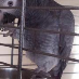 profile image of Nikki Adlam