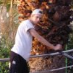 profile image of Dennis Jensen