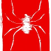AC Tetranicus Urticae