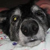 profile image of Mandy Hammond