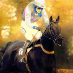 profile image of Aileen Merry