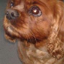 profile image of Niki Harlin