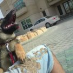 Majed Alm
