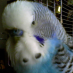 profile image of John