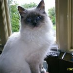 profile image of Olga Quine
