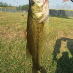 profile image of Blake Wade