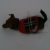 Lotti Surtees