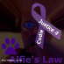 profile image of Steve West