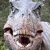 profile image of Peter Carnegie