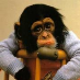 profile image of Ian Hodgson