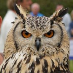 profile image of Alasdair MacKenzie