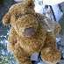 profile image of Graham Wakely