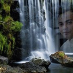 profile image of Razzak Miah