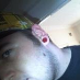 profile image of Darren Crocker