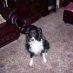 profile image of Christine Croshaw