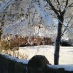 Susanne Hepp