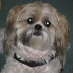 profile image of Bonnie Krakalovich