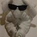 profile image of Glenn Colville