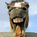 profile image of Mike Johnson