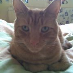 profile image of Mair James