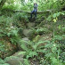 profile image of Tilly-Jo Stone