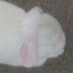 profile image of Odette Rave
