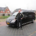 Walter van der Horst