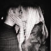 profile image of Elizabeth Hosty
