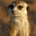 profile image of EVE KELLY