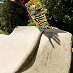 Lee Dainton