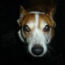 profile image of Maggie Green