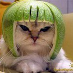 profile image of Jackie Ohnmeiss