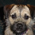 profile image of Rhona Mintrim