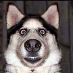Erik
