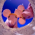 profile image of Nick Sayle
