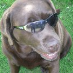 profile image of Janet Clayton