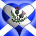 profile image of Amanda Jayne Wallis