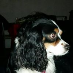 Henny Thomasen