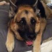 profile image of Gregg Wolfram