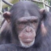profile image of Buster Pateman
