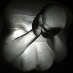 profile image of Joe Wolverson