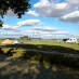 Wil Hoogeboom