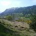 Majsemajse Majse